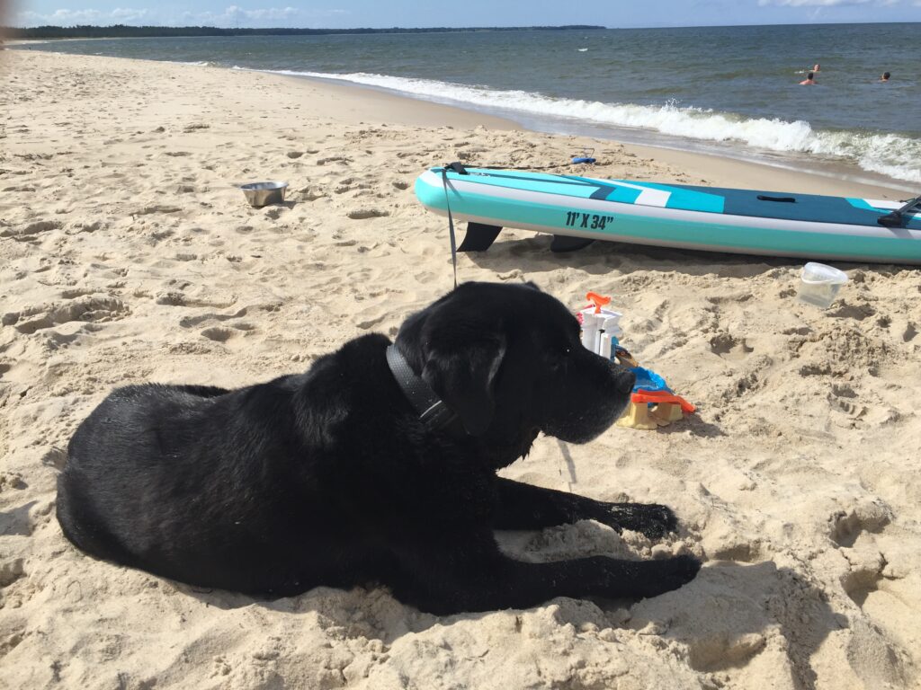 SURFSUP.EE