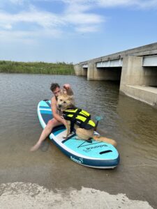 SURFSUP.EE
